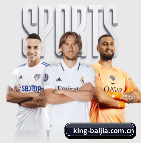 king-baijia.com.cn的故事