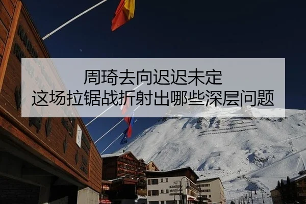 周琦去向迟迟未定 这场拉锯战折射出哪些深层问题